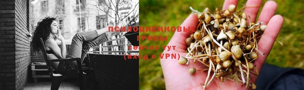 трава Каменск-Шахтинский