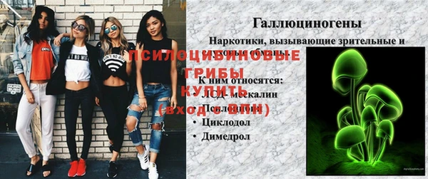 амфетамин Каменногорск