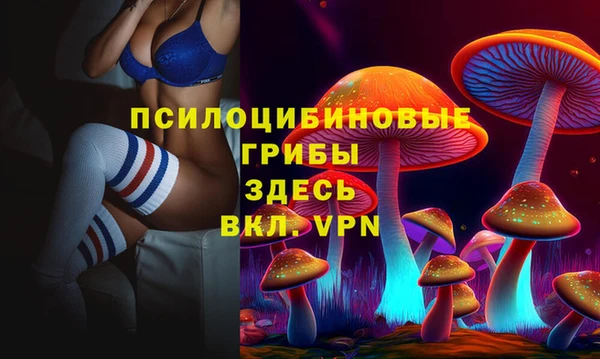амфетамин Каменка