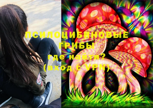 амфетамин Каменка