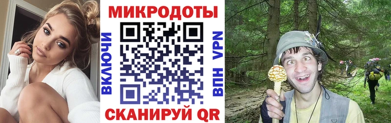 Псилоцибиновые грибы Psilocybe  Купить  Раменское 